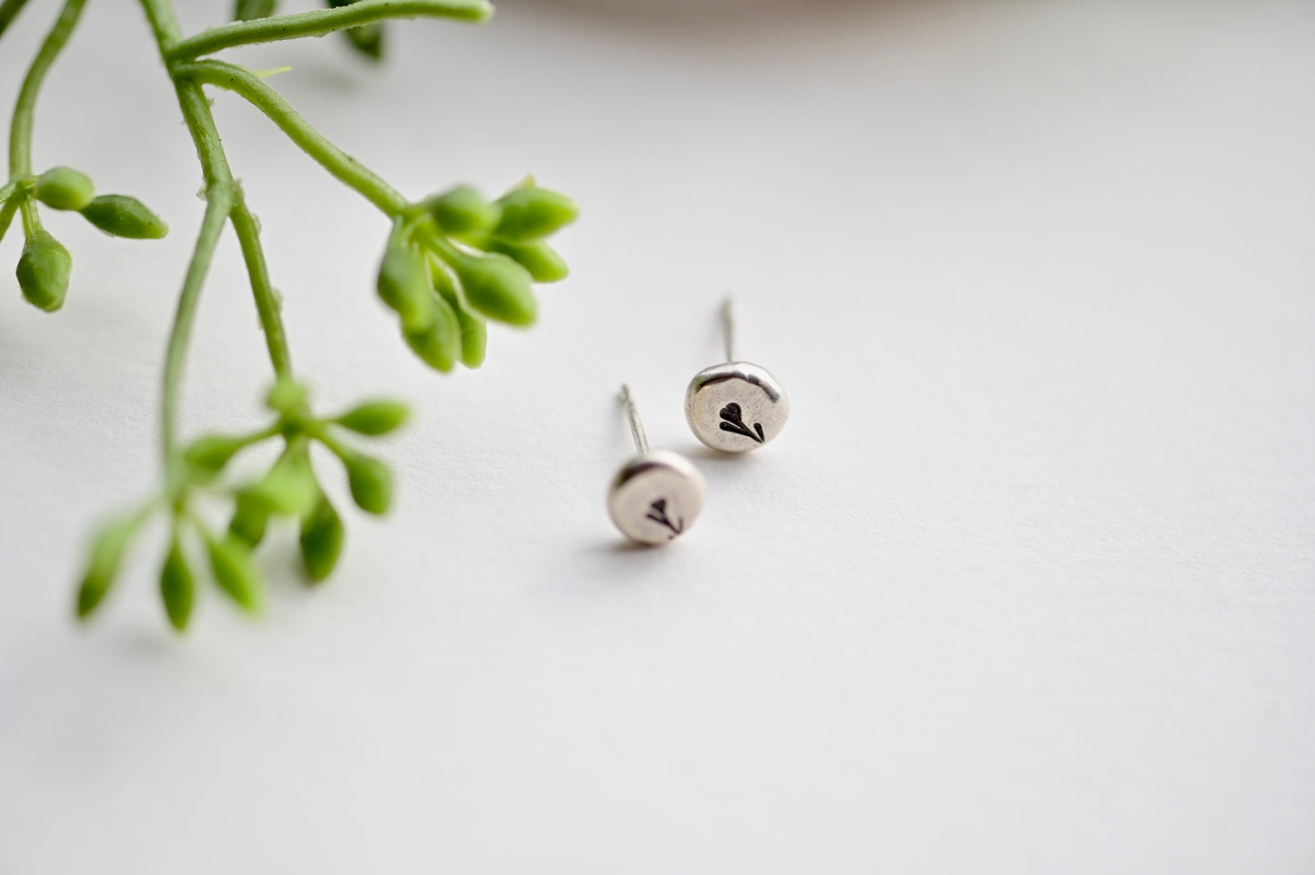 Silver Elements: Creosote Stud Earrings