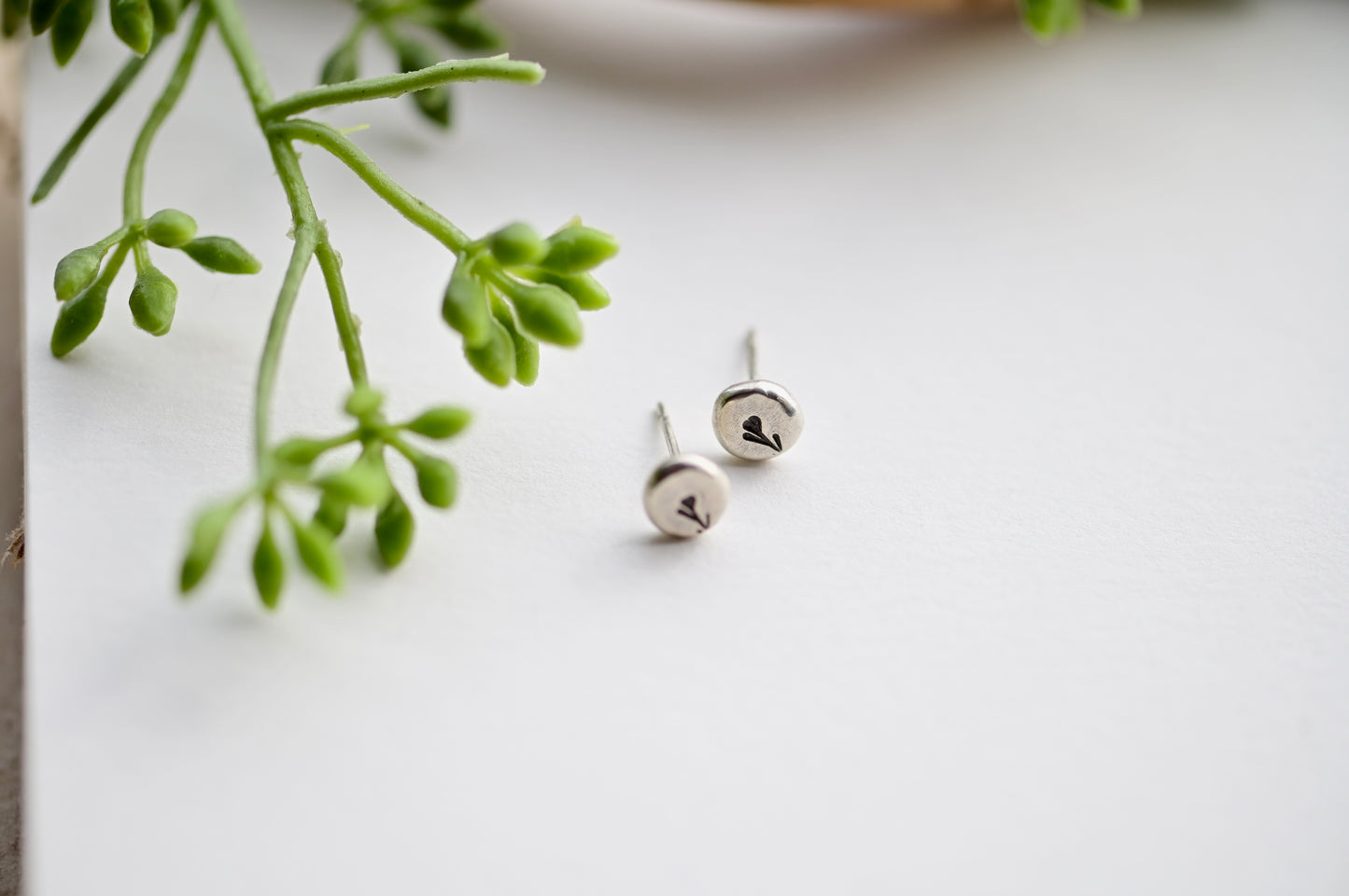 Silver Elements: Creosote Stud Earrings