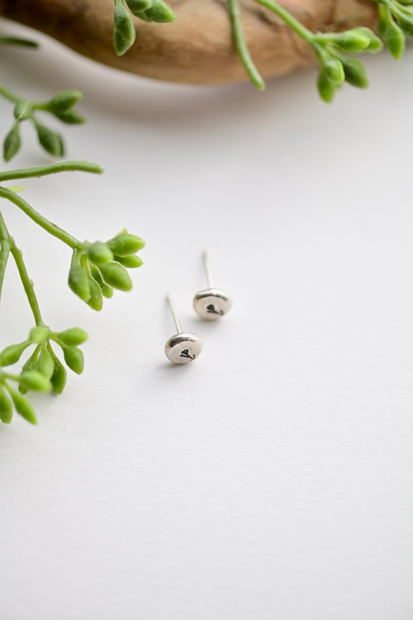 Silver Elements: Creosote Stud Earrings